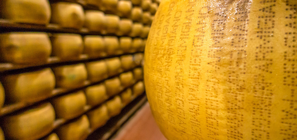 The food valley Parma & Modena The food valley Parma & Modena