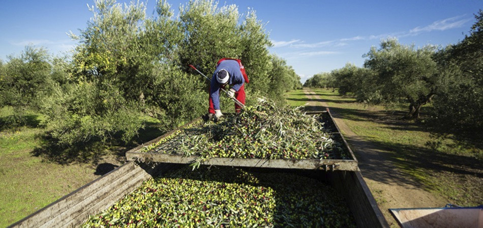 ECOTURISMO ECOTURISMO